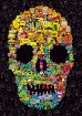 Imagen de ROMPECABEZAS BURGERMAN DOODLE SKULL 1000 PIEZAS