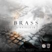 Imagen de BRASS: BIRMINGHAM