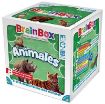 Imagen de BRAINBOX ANIMALES